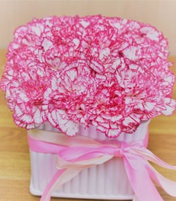 20 Pink Carnations Arrangement with White Ceramic Vase